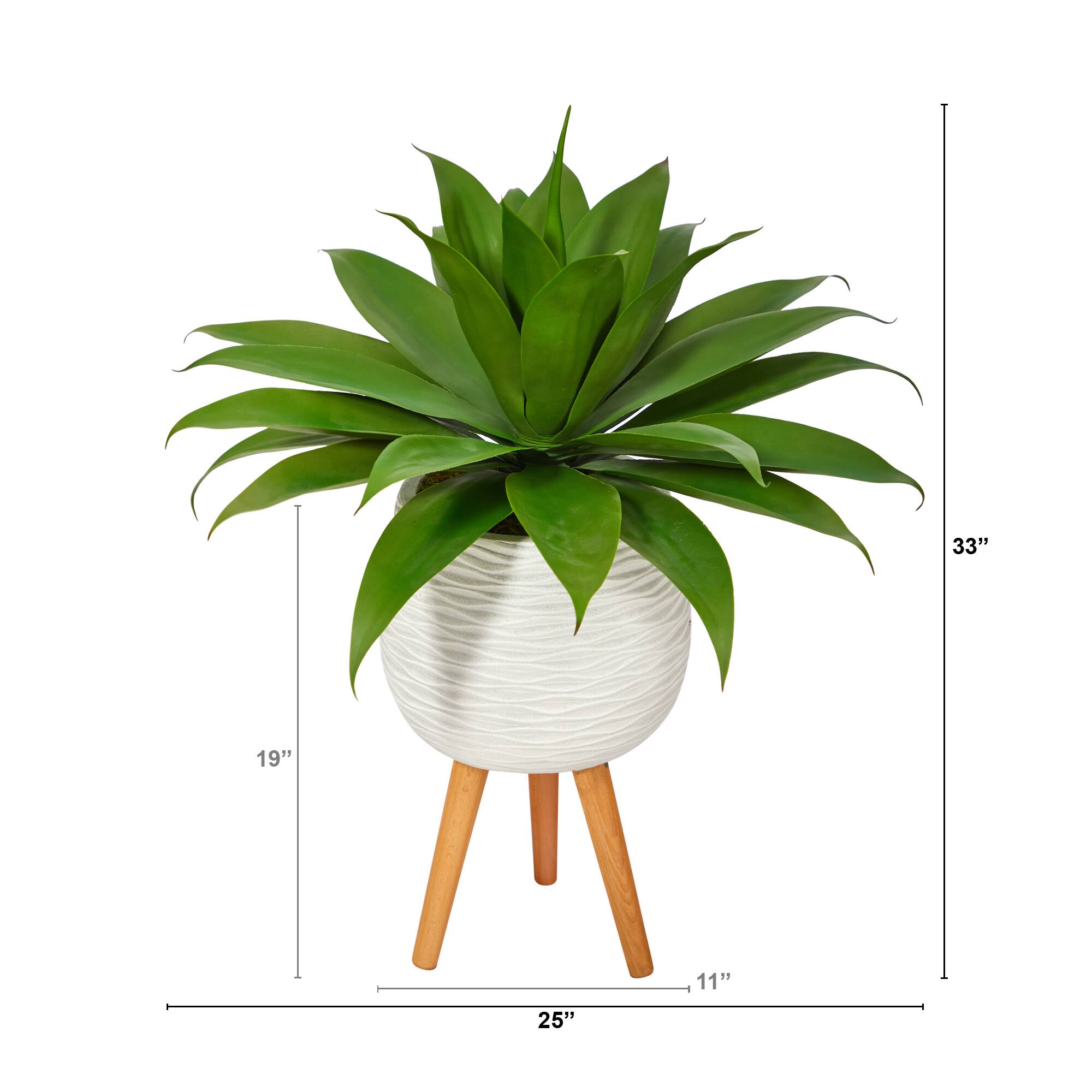 2.5ft. Agave Plant in White Planter with Stand